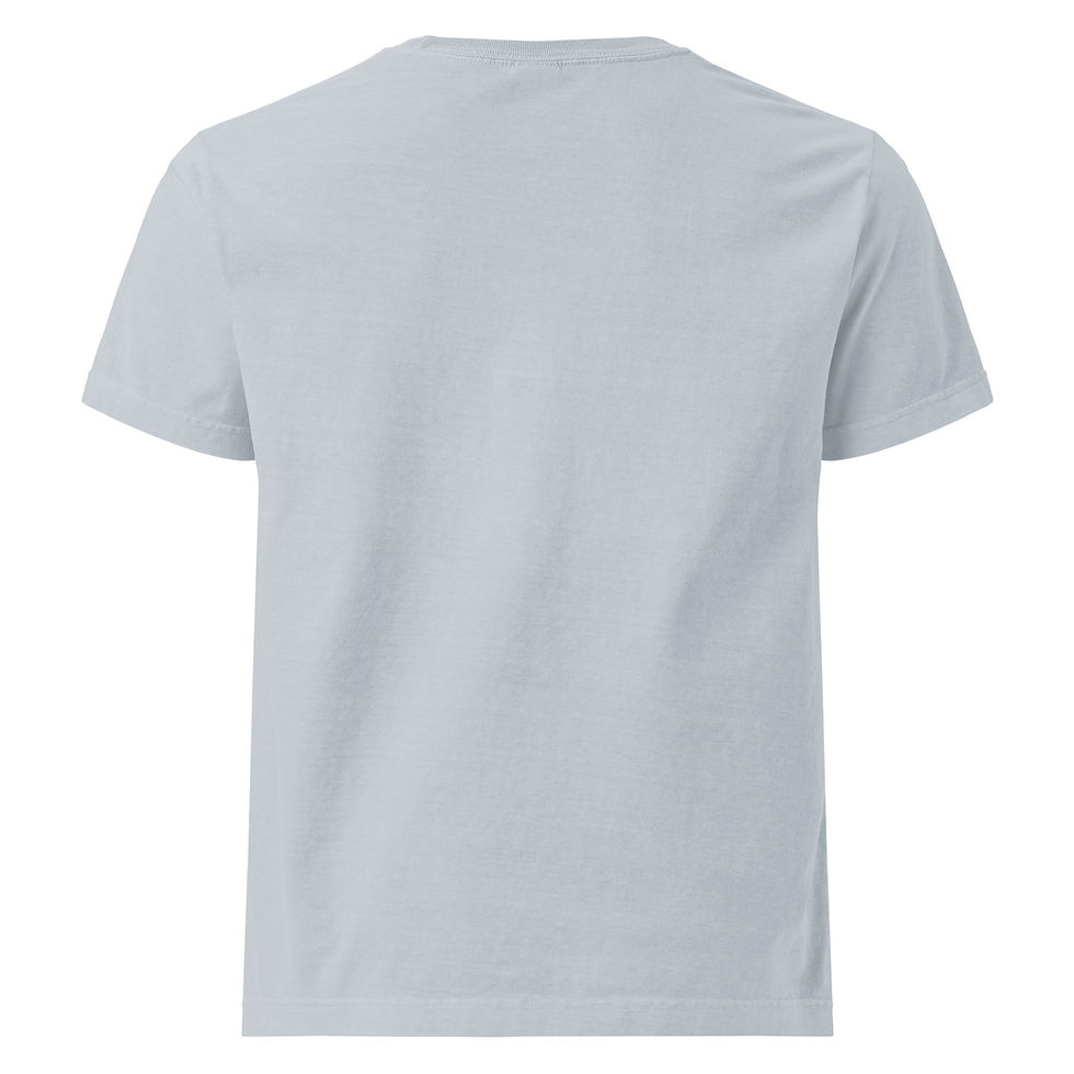 Thumbnail: Shove this up your [BLEEP]!! Unisex oversized t-shirt