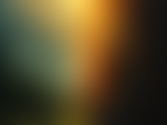 L'Amour est un Choix !