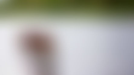 Vivir en resistencia: el crimen amparado por un Estado ausente desgarra al territorio indígena en la Amazonía