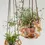 Thumbnail: Leather plant hanger // Hand-cut veg tanned leather plant hanger