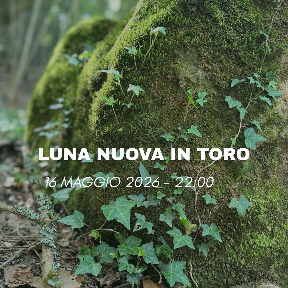 Il Toro è un segno di Terra a modalità Fissa, governato da Venere. Sa che per costruire serve tempo, presenza, un passo dopo l’altro ma con continuità. 