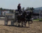 Addison County Fair