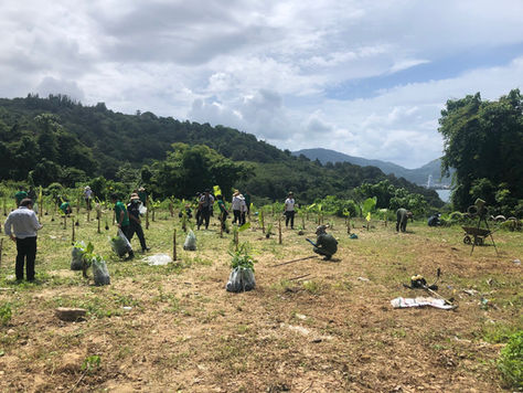 WYNDHAM GRAND PHUKET KALIM BAY GROWS ITS OWN FRUIT AND HERBS TO IMPROVE SUSTAINABILITY