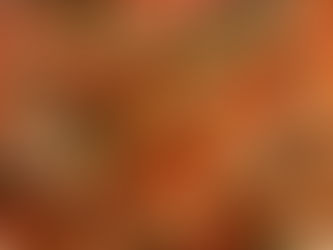 Sausage with Peppers and Polenta + A Life Lesson on the Side