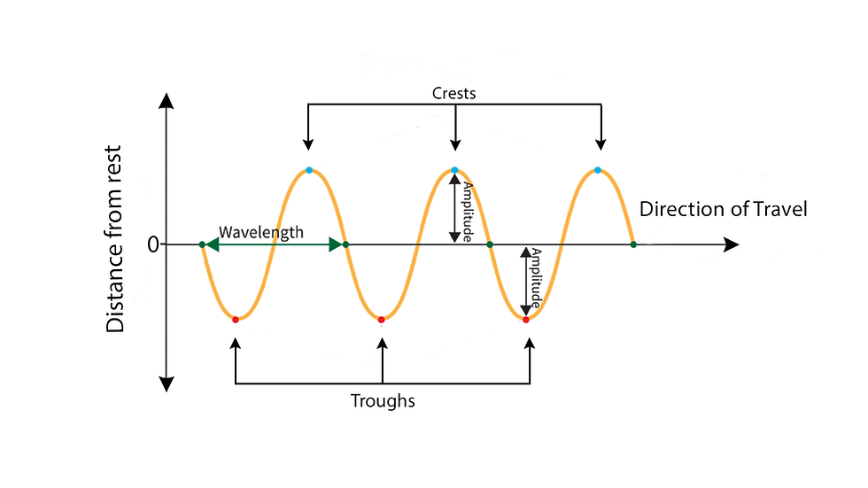 All the parts of a wave
