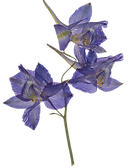 9.png