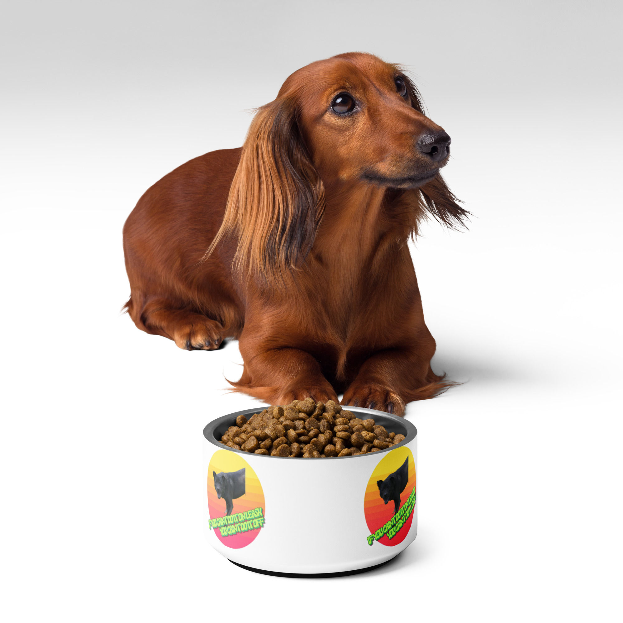 Pet bowl