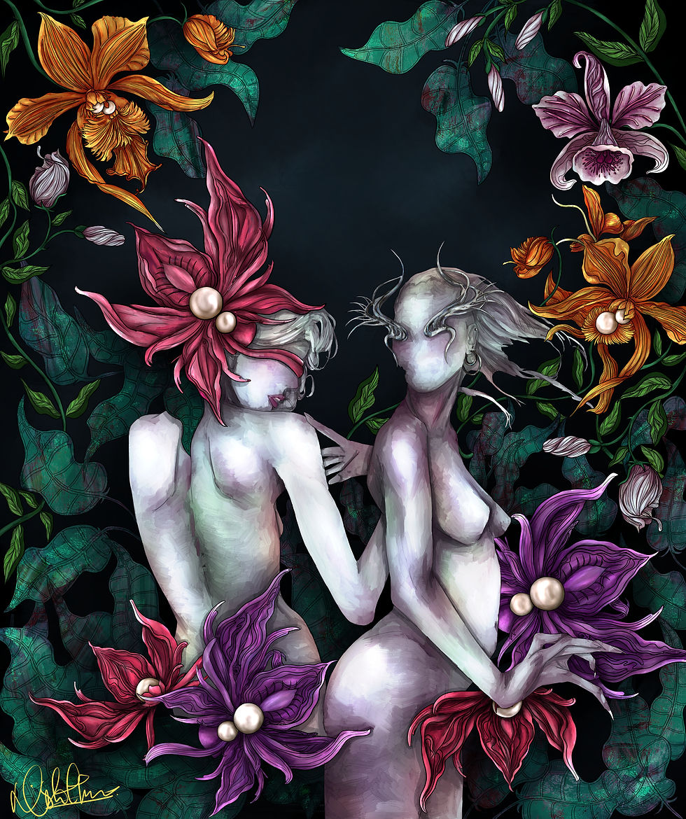 njvd studio, illustration