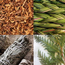 Exploring Traditional Medicines of Manitoba