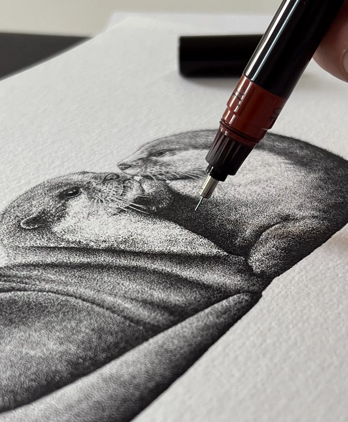 Northern river otter ink stippling drawing, hand-drawn wildlife illustration. Perfect for book illustration or tattoo design.