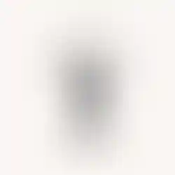 Stippling ink drawing of a heron bird in black and white