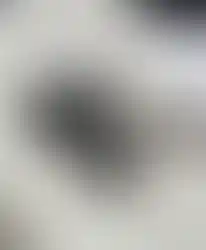 04_Grapes.webp