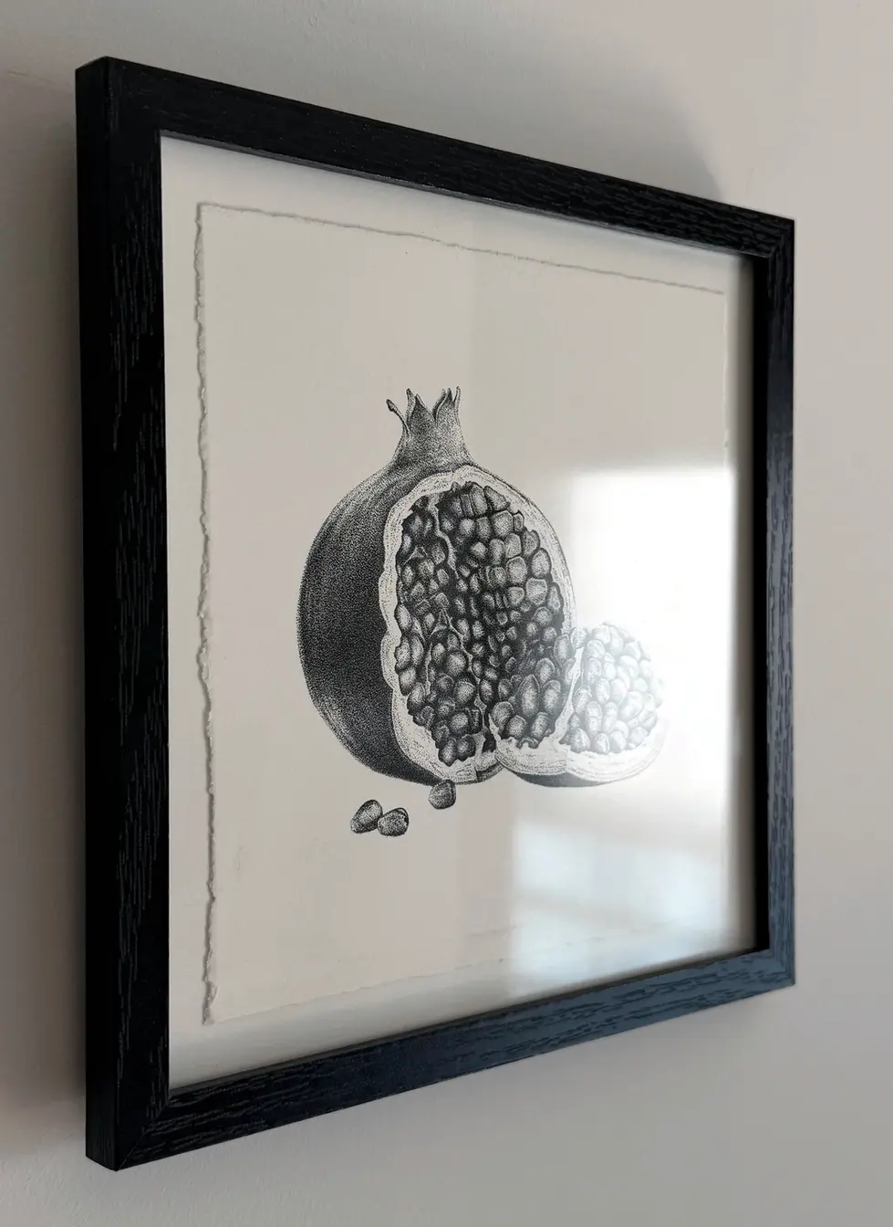 Realistic stippling pomegranate drawing in a frame