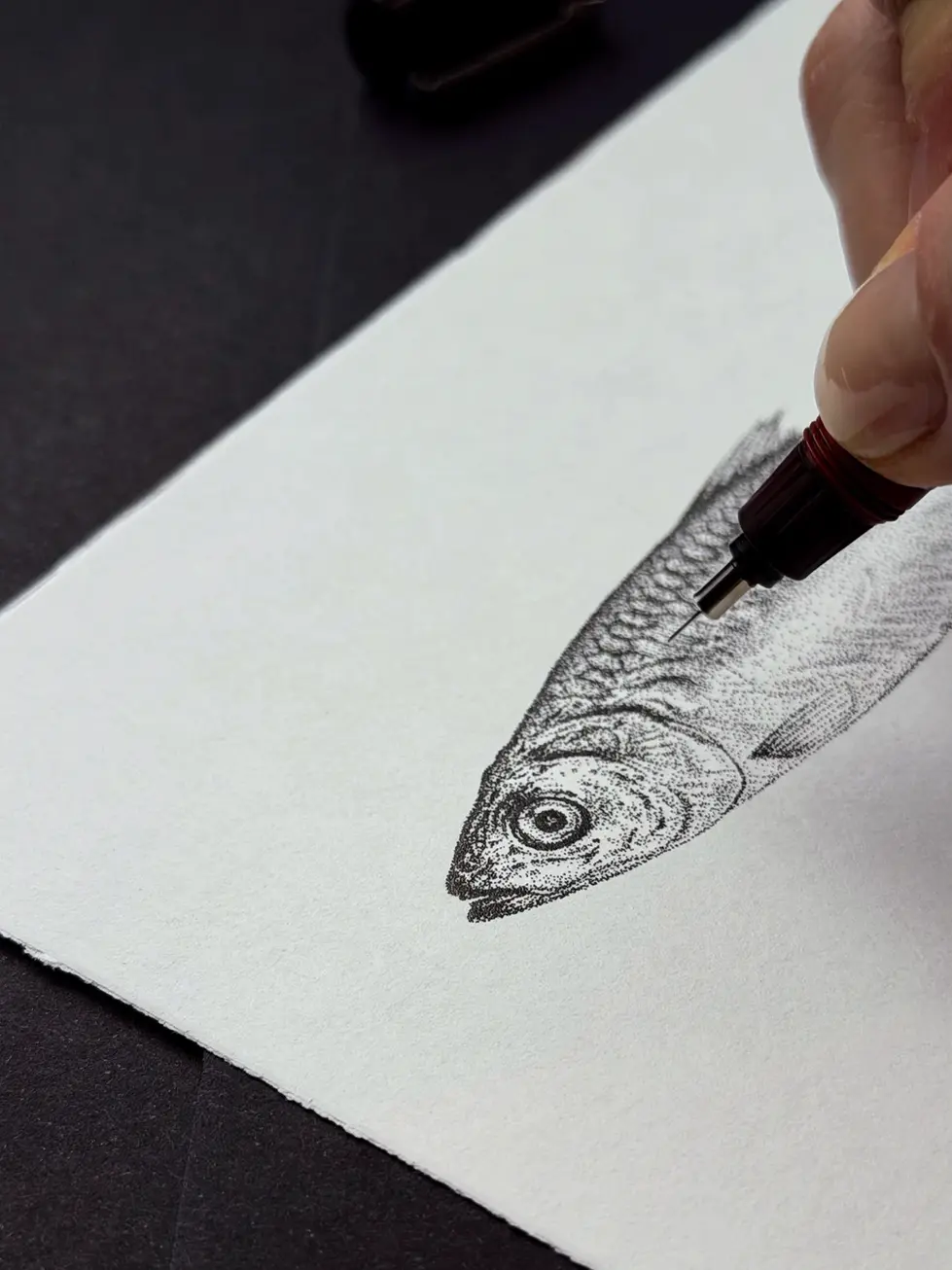 Realistic drawing of a sardine using the stippling technique. Close up head and a pen.