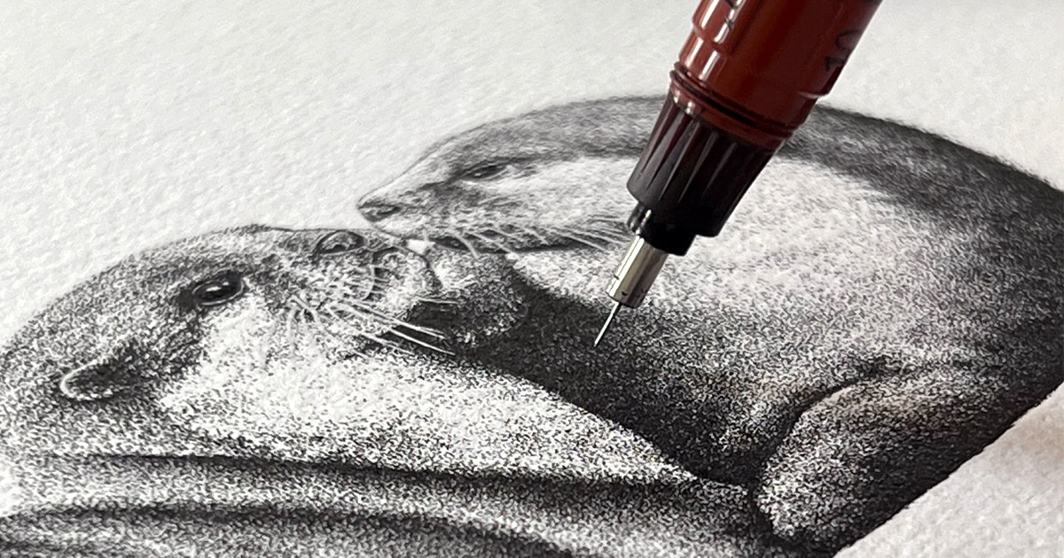 otter pencil drawing