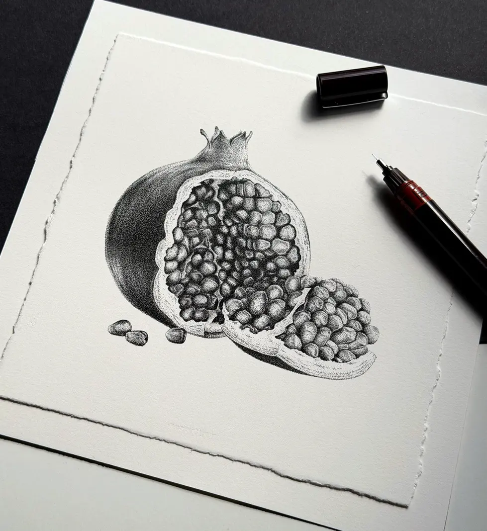 pomegranate-stippling-ink-drawing-mariana-pohrebelna-08.webp