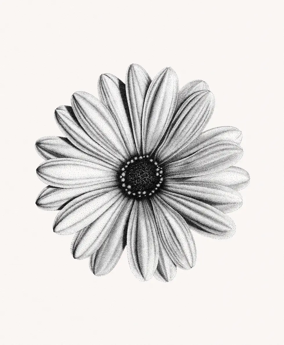 Stippling ink drawing of a daisy flower by Mariana Pohrebelna
