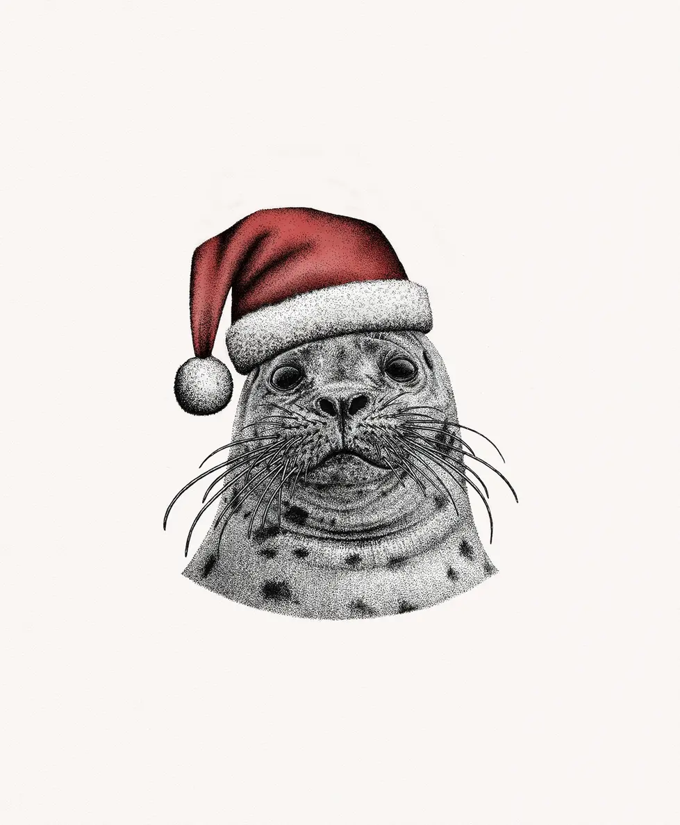 02 Harbor seal.webp