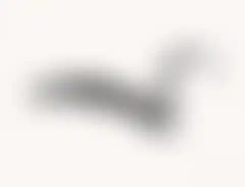 Dotwork art of frilled shark in black ink