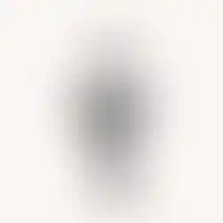 Stippling ink drawing of a crow on a swing hanging from a tree branch