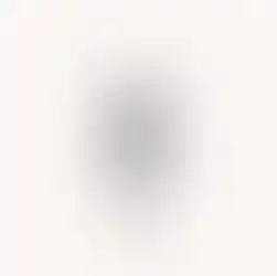 Hand-drawn detailed grasshopper drawing created with stippling technique by Mariana Pohrebelna.