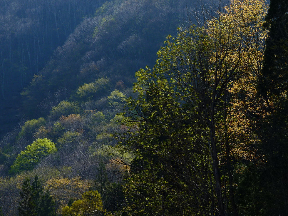 P1080257