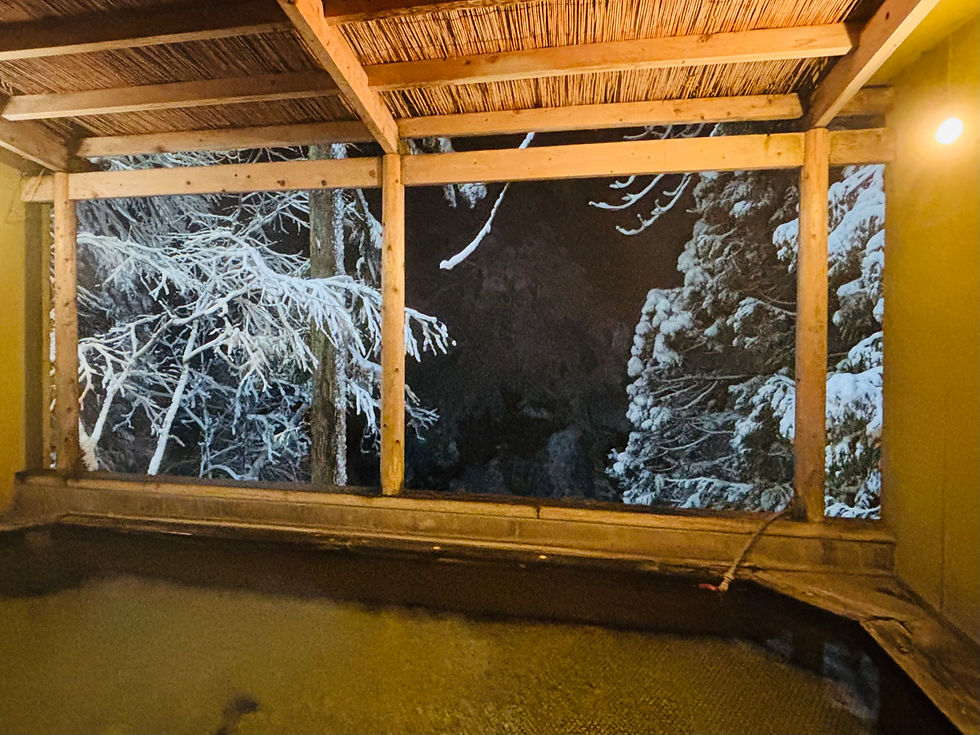 今宵も雪見風呂をお楽しみください。