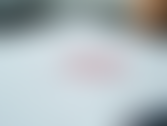 Understanding Apostille and International Document Services