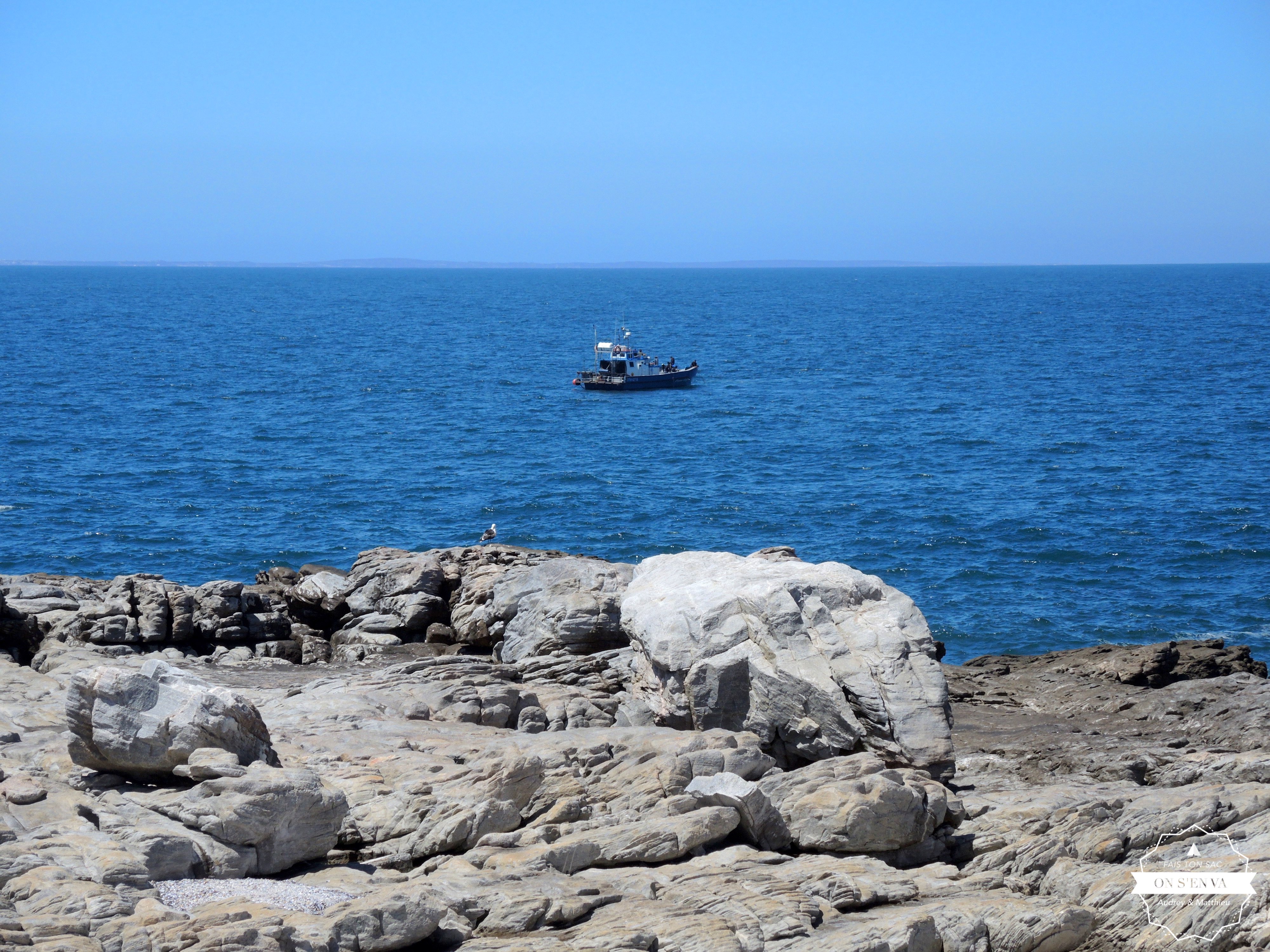 Pêche au large d'Hermanus