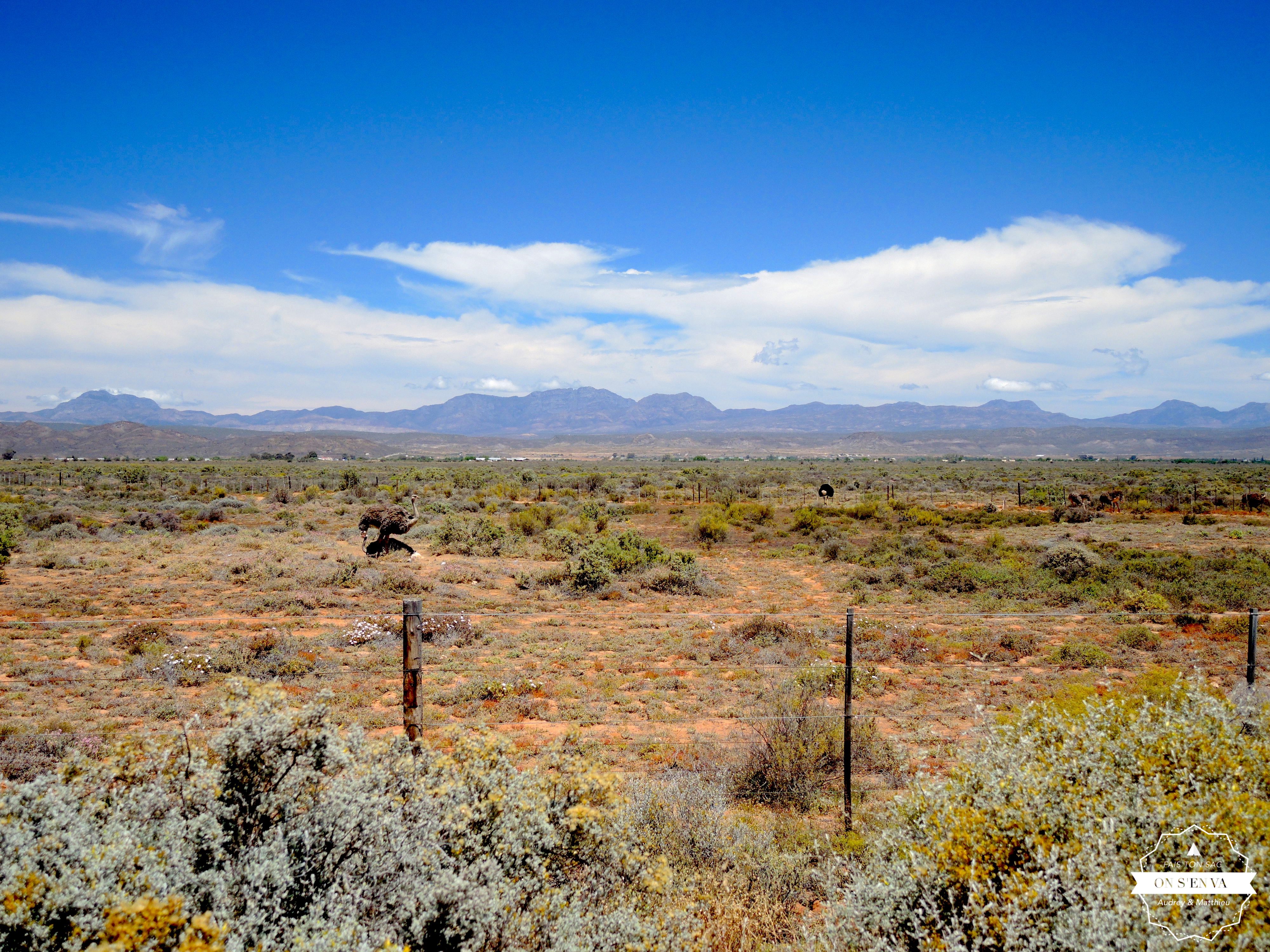 Près d'Oudtshoorn