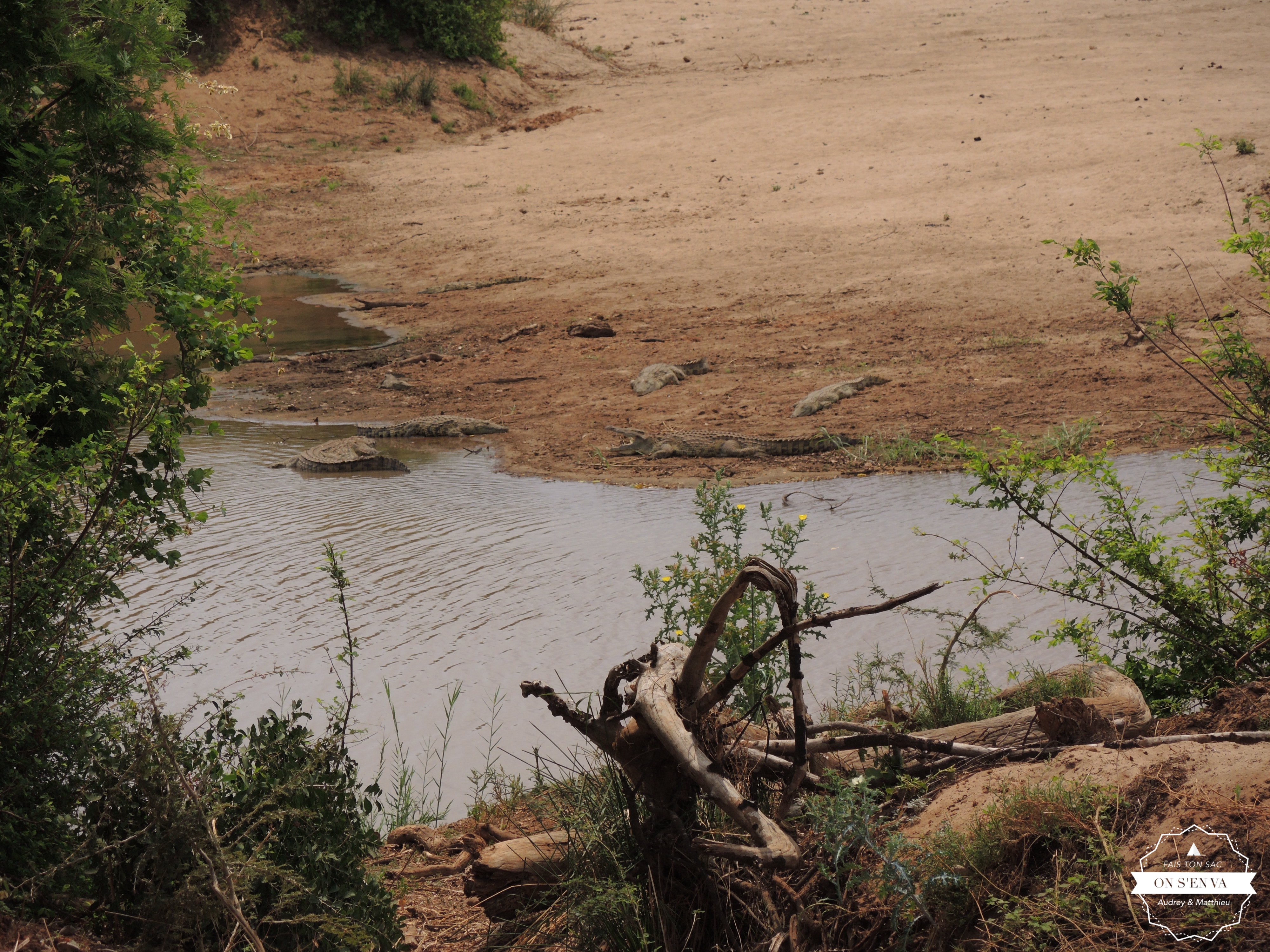 Le paradis des crocodiles