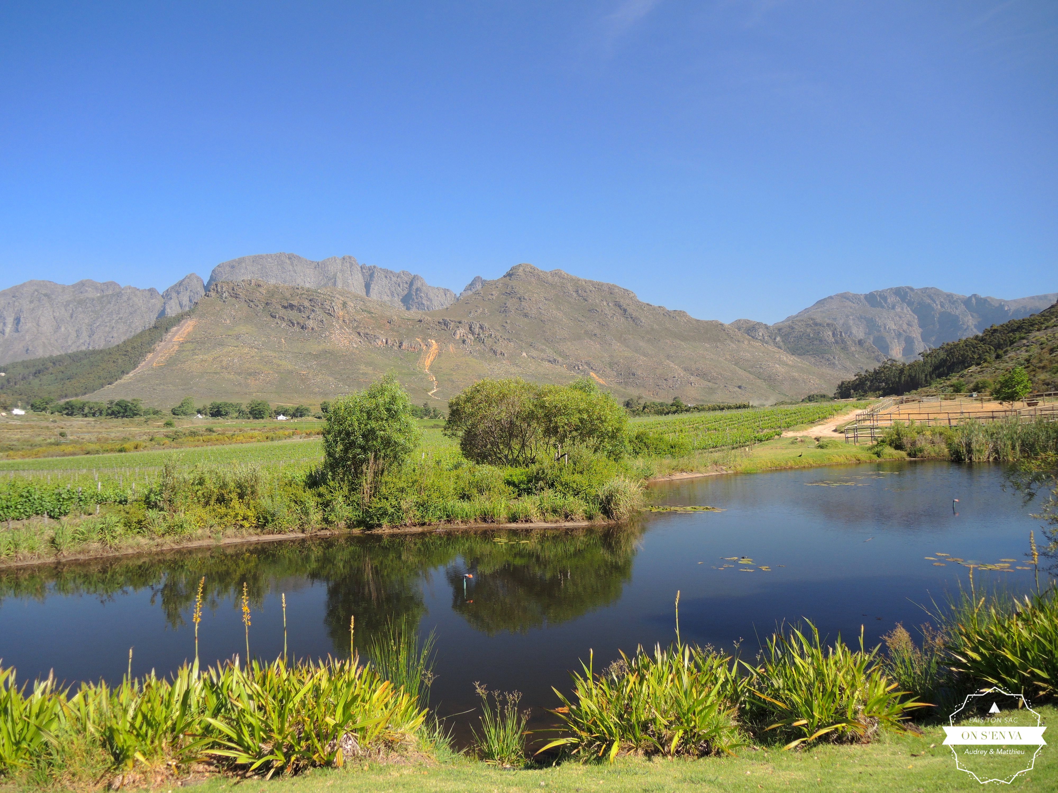 Domaine Glen Wood, Franshhoek
