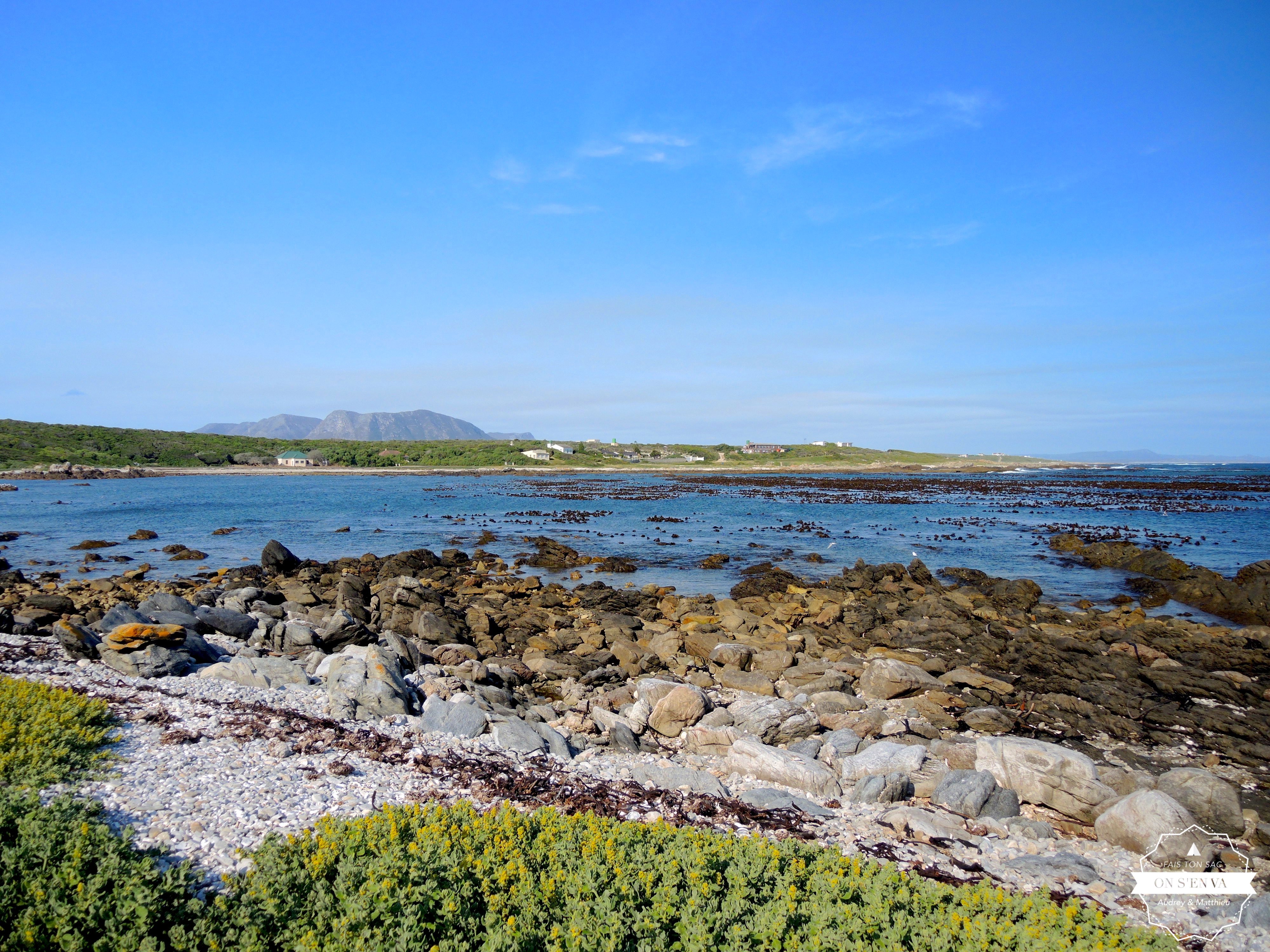Sur la côte, près d'Hermanus