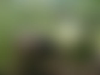 Kirchenfeldsanierung II