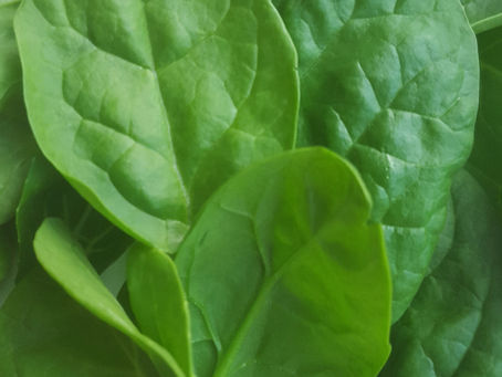 Is calcium found in nondairy foods?