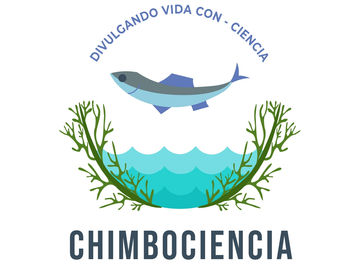 ORGANIZACIONES