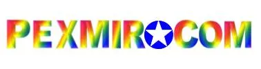 nouveau logo pexmir.jpg