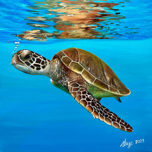 HERON ISLAND VIDEO