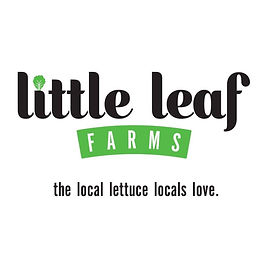 Little Leaf.jpg