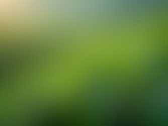 Jamaican Tea Innovations: Sustainability and Quality