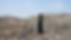 Untitled design (5).png