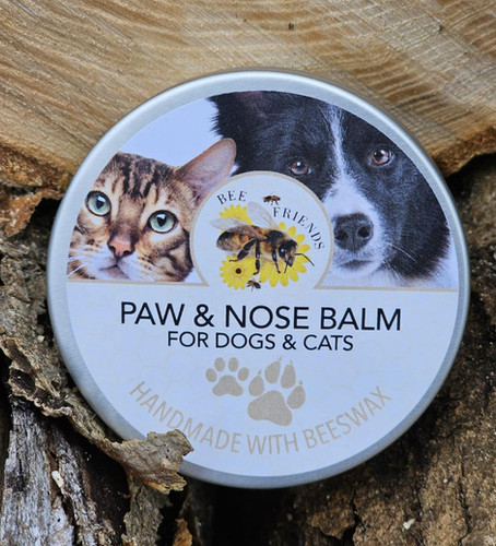 Paw and Nose Bee Friends