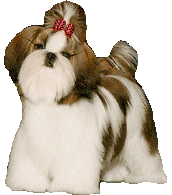 pixiemainpage.gif