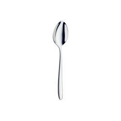 Ecco Dessert Spoon 19.9cm (7 5/6") – Sold in packs of 12