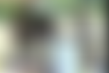 The Devil Will Throw You Into Prison