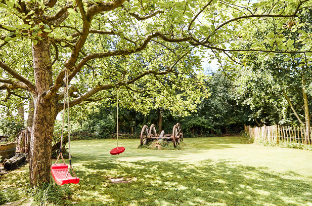 Outdoor_0384.jpg