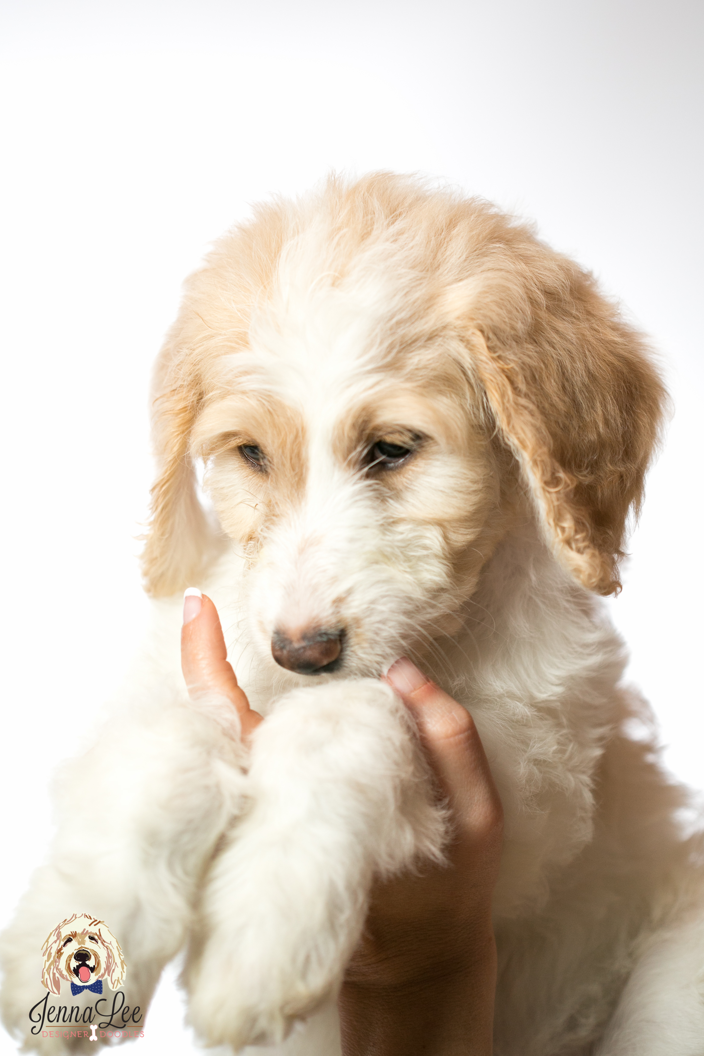 Pink Collar Female