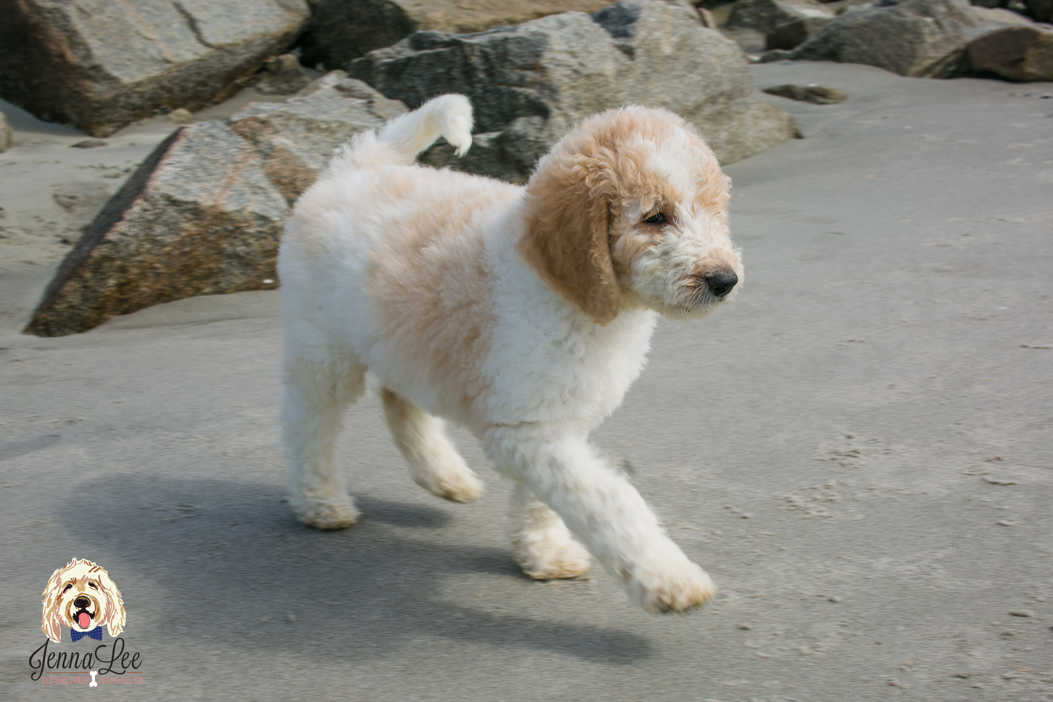 Purple Collar Female