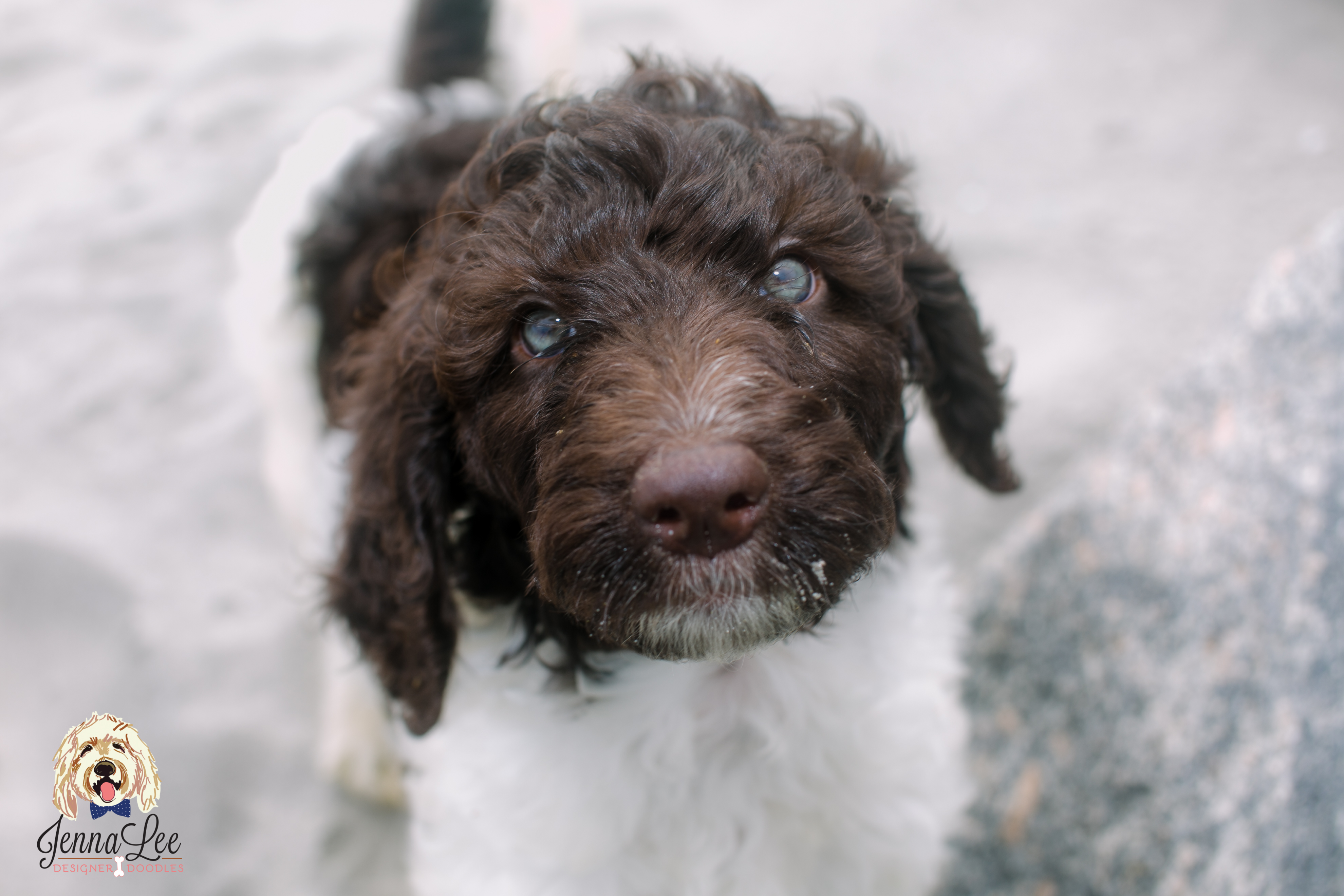 Green Collar Male