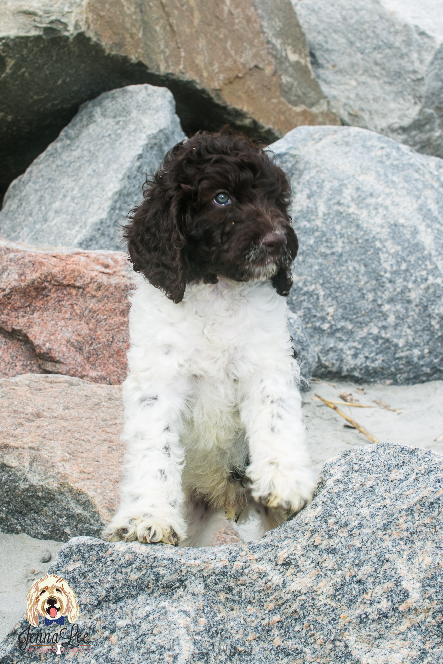 Green Collar Male